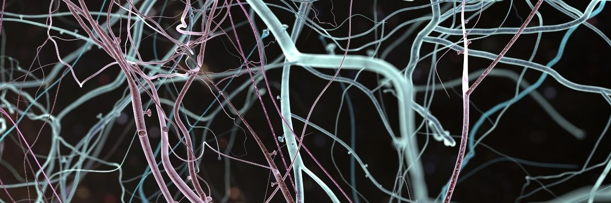 Neuro-Priming Nedir?